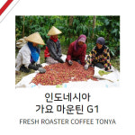 [커피톤야]인도네시아 가요 마운틴 G1  200g(생두무게 기준) 주문 후 즉석 맞춤 로스팅 : 커피톤야