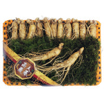 금산인삼 수삼 5년근 원삼중 1채 선물세트(9~11뿌리내외) 설, 추석 명절 : 대명이네인삼농장