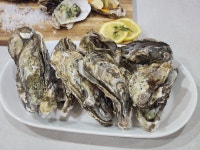 세척 국내산 제철석화 석굴 각굴 5kg 10kg 생굴 통영여수 : 온늘농수산