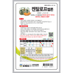 켄탈로프멜론 10립 / 과일 베타카로틴 비타민 멜론 씨앗 종자 텃밭키우기 채소키우기 노란멜론 붉은멜론 주황멜론 : 초록스타