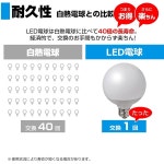 엘파 ELPA LED전구볼구형 G95 꼭지쇠E26 / 40W형 / 백색 5년 / 전구 LDG4D G G2101 : 빅그로우 원