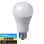 엘파 ELPA LED 전구 A형 광배광 E26 주광색 상당 실내용 LDA14D G G5105 : 빅그로우 원