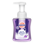 사그로탄 거품 핸드워시 바닐라&난초 250ml / Sagrotan : 독일상사