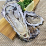 국내산 산지직송 제철 통영 세척 석화 굴 (5/10kg)/각굴 통굴 구이용 찜용 : 트루e셀러