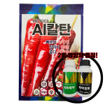 AI칼탄 에이아이칼탄 1200립 고추종자 복합내병계 : 신흥팜마트