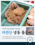 금오도 해남이 작업한 자연산 돌문어 냉동 1.5kg : 섬마을 금복상회