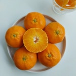 레드향2kg 제주서귀포레드향 제주명품레 드향 : 아르미마켓