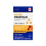 캐나다 직수입 로얄 프로폴리스 500mg 플라보노이드 180캡슐, 2개 : 말라코스 효과좋은 영양제