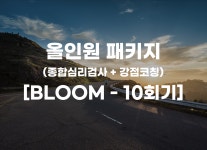 올인원패키지(종합심리검사+강점코칭) [BLOOM - 10회기] : 멘토즈