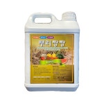 삼익농자재 형원상사 뿌리짱짱 5L 뿌리발달 활착증진 관주전용제품 : 삼익농자재-식물영양제