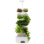 화분 식물 자동급수 물주기 실내 식물키우기 베란다 가정용 홈가드닝 : 캄파파