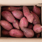 풍미가 다른 달콤함 명품 황금 고구마 100%직배송, 세척 토울 고구마 5kg, 1개 : 산지직송 제철과일 푸릇프룻