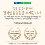 농협홍삼진액 떠먹는 홍삼 6년근 홍삼농축액 고려 진홍삼 진세노이드 240gx2병 : 메디라움코리아