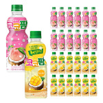 빠르미쇼핑 해태 커졌다 코코팜 피치핑크+망고 300ml 24개 어린이 아이 음료수 한박스 : 빠르미쇼핑