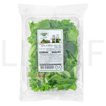 All바른농장 레디쉬 & 유러피안 샐러드 믹스 200g 1개 : SUPER SALE