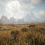 [PC스팀/코드] 더헌터 야생의 부름 theHunter Call of the Wild/ 우회X, 나라변경X : 곰돌이네 게임상자