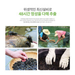 동강청정 자연산 다슬기 기름 (1000ml 도자기병) : 까드리아
