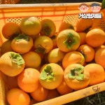 진영 단감 산지직송 부유단감 대봉감 선물용 가정용 2.5kg 5kg 10kg : 거상형제들