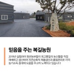 호박즙 늙은호박즙 붓기 산모 임산부 다이어트 건강 : 알정상점