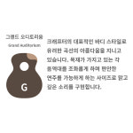 크래프터 갓인어스 VVS TCE 신형 DS2 PRO 픽업장착 : 오케이뮤직 주식회사