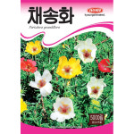 채송화 5000립 경신씨앗 : 제이팜s