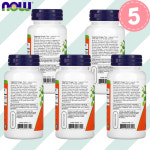 나우 홍경천 아답토젠 Rhodiola 500mg 60캡슐 5개 : 판타라이프글로벌