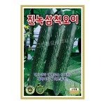 진녹삼척오이 50립 오이 씨 삼척오이 종자 씨앗 KS종묘 그린종묘농약사 : 허수아비정원
