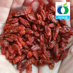 청양 태리농장 친환경 무농약 구기자 100g, 300g : 사자산마을