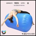 백플립보조기구 에어볼 파쿠르 장비 요가볼 덤블링 공중제비 체육관 체조 : 황금알오리