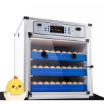 대형 달걀 부화기 메추리 병아리 키우기 농장 인큐베이터 52 : 글로벌주드로