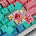 글로리어스 프리미엄 GPBT 파스텔 키캡  PBT 체리 프로파일 : 와이피게이밍기어