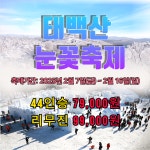 신세계여행사[부산출발] 25년 겨울특집 태백산 눈축제 당일여행 : 부산 신세계여행사