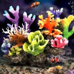 어항 어항장식 수족관 인조 퍼플 수조꾸미기 머 은신처 인공수생식물 급여기 인공 핑크 철나무 : 신흥유통상사3003