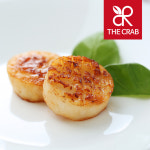 손질 가리비관자 500g 가리비 통관자 냉동 관자살 개아지살 : 더꽃게