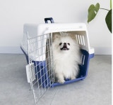 반려동물 컨넬 차량 기내용 산책 이동 가방 네이비 : 부촌마트