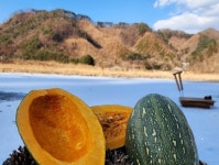 손질단호박 만차랑단호박1kg : 진여울농장