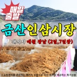 부산출발 국내여행  금산 인삼시장 당일 투어 특가 [지원여행사] : 지원여행사