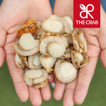 자숙 가리비살 500g 손질 순살 가리비 관자 : 더꽃게