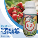 모두싹 칼 나라바이오 친환경 고추 진딧물 병해충 관리 500ml : 한국농자재마트