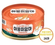 인터펫코리아 야옹이맘마 고양이간식 습식캔 흰살참치+연어, 160g, 24개 : 댕이와냥이