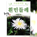 약초 야생화 종자 흰민들레 씨앗 100립 : 농사농