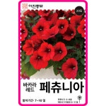 페츄니아 씨앗 페튜니아 바카라 레드 / 20립 꽃씨 몰 F1교배종 종자 야생화 봄 가을 : 아진종묘 꽃씨몰
