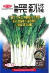 늘푸른매점 자판기 | 씨앗매점 줄기가굵고 푸른빛이선명한 늘푸른줄기상추(궁채)씨앗 500립 : 씨앗매점