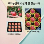청송 시나노골드 황금사과 꿀부사 선물세트 3kg 5kg : 부자농산