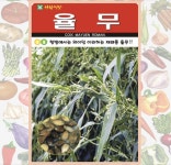 율무 종자 50립 재래종 약초 씨앗 : 농업회사법인 사천원예농업