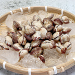 국내산 당일조업 신선한 새꼬막 2kg+1kg : 여수 정아식품