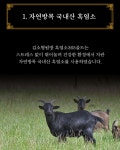 검은보물 자연방목 국내산 흑염소 365 골드 70ml 30포(선물용 쇼핑백 포함) : 멋찐걸