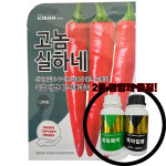 고놈실하네 1200립 더기반 고추종자 복합내병계 : 신흥팜마트