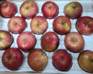 경북 고산지 부사 꿀 사과 3kg, 5kg : 핫프리즘