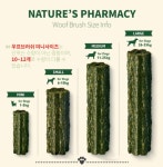 릴리스키친 우프브러쉬 미니 멀티팩 130g 입냄새 치석제거 애견 강아지 간식 덴탈껌 : 댕그랑냥